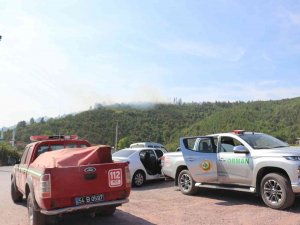 Sakarya’da Ormanlık Alanda Yangın Çıktı, Çok Sayıda Ekip Sevk Edildi