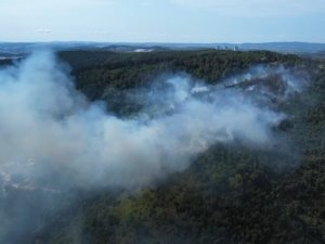 Sakarya’da Ormanlık Alanda Çıkan Yangın Kısmen Kontrol Altına Alındı