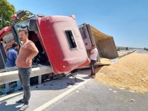 Devrilen Mısır Yüklü Tırın Şoförü Yaralandı