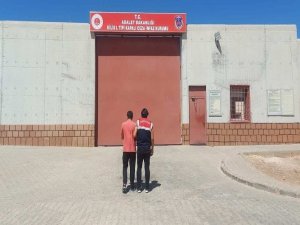 Jasat Firari Zanlıyı Yakaladı