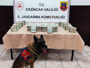Erzincan’da Tır İçerisinde 25 Kilo 720 Gram Eroin Ele Geçirildi