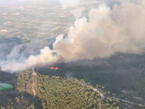 Söke’deki Yangına 7 Helikopter Ve 4 Uçakla Müdahale Devam Ediyor