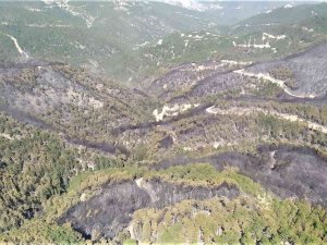 Emet’te Yanan Ormanlık Alan Havadan Görüntülendi