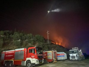 Söke’deki Orman Yangınında Alevler Geceyi Aydınlattı