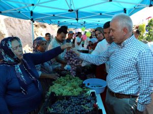 Üzüm Diyarı Esenli, Türkiye’nin Gündeminde