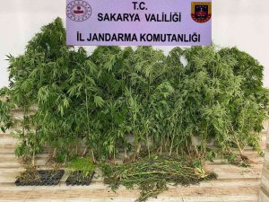 Sakarya’da Uyuşturucu Operasyonu: 2 Gözaltı