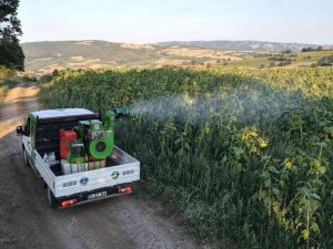 Büyükşehir’de ‘Tırtıl’ Seferberliği