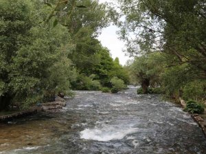 Munzur Ve Pülümür Çayı, Yüzme Suyu Takip Sisteminde