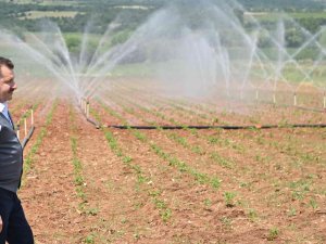 Balıkesir’in Toprağı Büyükşehir İle Bereketleniyor