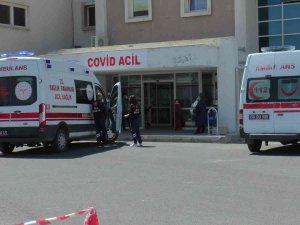 Nevşehir’de Vakalar Yükselince, Aşıya Talep Arttı