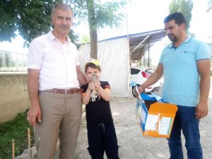 Kars’ta Yaralı Kerkenez Tedavi Altına Alındı