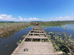 Efteni Gölü’nde İskele Onarımı Başladı