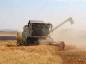 Siirt’te Toprak Mahsulleri Ofisi Alım Primi Desteği Başladı