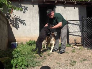 Köpeklerini Bulana 5 Bin Tl Ödül Verecek