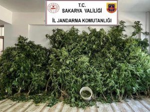 Jandarmadan 2 İlçede Uyuşturucu Operasyonu: 3 Gözaltı