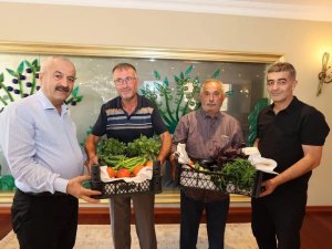 Gebzeli Çiftçilerden İlk Hasat Sürprizi