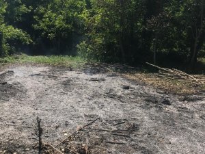 Arazisinde Anız Veya Benzeri Bitki Örtüsü Yakan Yandı