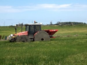 Çeltik Alanlarında Larva İle Mücadele