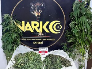 Evinde Hint Keneviri Yetiştirip Satan Şahıs Yakalandı