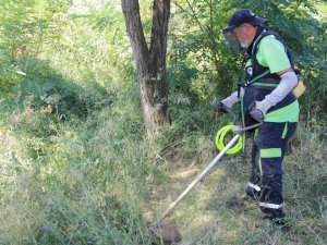 Körfez’de Yabani Ot Biçme Çalışmaları Sürüyor