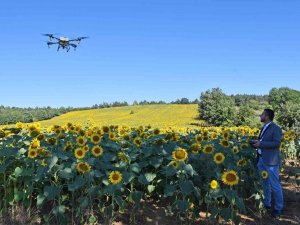 Kestel’de Çayır Tırtılı İstilasına Dronlu Önlem