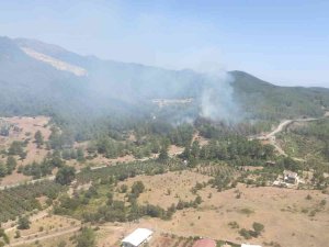 Seferihisar’da Yangın