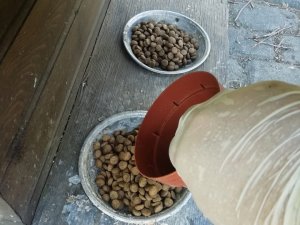 Sokak Hayvanları İçin Yemleme Çalışması Yapıldı