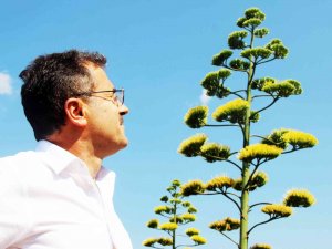 Unesco Dünya Kültür Mirası Listesinde