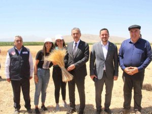 Karaman Ovasında Son Buğday Hasadı Yapıldı