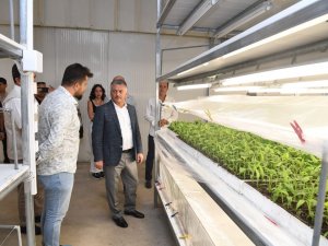 Vali Yazıcı: “Tarımda Çeşitlilik Sağlayarak Dünya Pazarında Yeni Ürünlerle Yer Bulmalıyız”