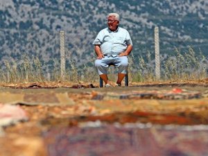 Antalya’da Tarlalarda Milyonluk ’Organik Halı’ Nöbeti