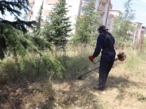 İ̇zmit Belediyesi’nden Alikahya’da Tırpan Mesaisi