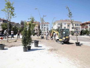 Nevşehir’de Parklar Ağaçlandırılıyor