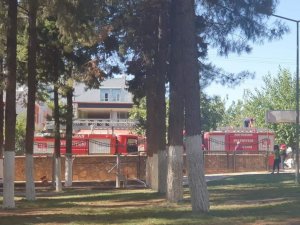 Ağaçta Mahsur Kalan Kedi İtfaiye Ekiplerince Kurtarıldı
