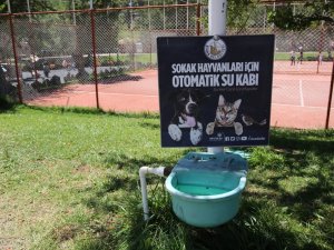 Sokak Hayvanları İçin Otomatik Sulama Sistemi