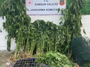 Jandarmadan Uyuşturucu Operasyonu: 2 Gözaltı