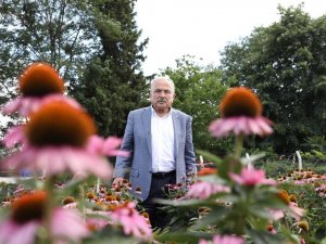 Ordu, Tıbbi Ve Aromatik Bitki Üretimine Göz Kırpıyor