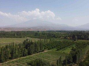 İ̇rem Bağları, Doğal Güzelliği Ve Meyve Sebzesiyle Göz Kamaştırıyor