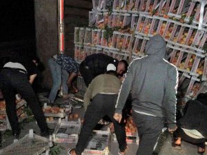Şeftali Yüklü Kamyon Devrildi:1 Yaralı