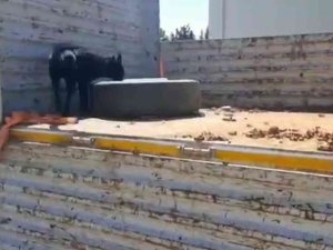 Hatay’da 41 Kilo Metamfetamin İle 6,4 Kilo Eroin Ele Geçirildi