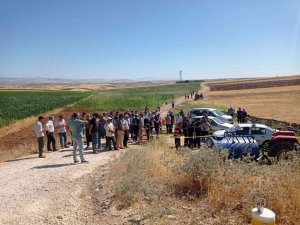 Traktörden Düşen Kadın Hayatını Kaybetti