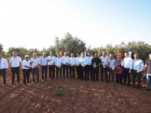 Zeytincinin Haşerelere Karşı Mücadelesine Önemli Destek