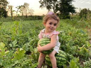 Bunaltıcı Sıcaklar Vatandaşı Sulu Meyvelere Yönlendirdi