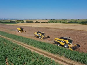 Kendi Tarlasından Vatandaşın Sofrasına