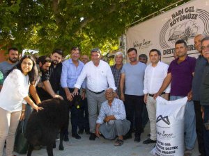 Mersin’de 13 Üreticiye 325 Küçükbaş Hayvan Dağıtıldı