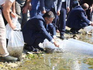 Kütahya’da 1 Milyon Yavru Sazan Balığı Suya Kavuştu