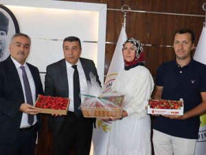 Mtb Başkanı Özcan, Çilek Üreticilerini Ödüllendirdi
