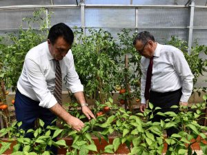 Bursa’da Yerli Ve Milli Tohum İçin İşbirliği