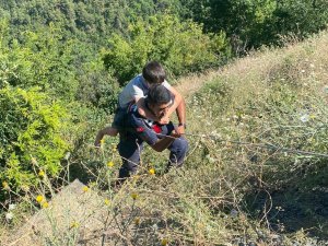 Otomobil Uçuruma Yuvarlandı: 3 Yaralı