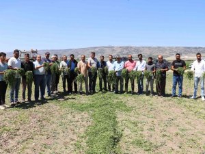 Aracılara Sinirlenip İ̇stanbul’a 2 Gün Boyunca Ürün Göndermeyi Durdurdular